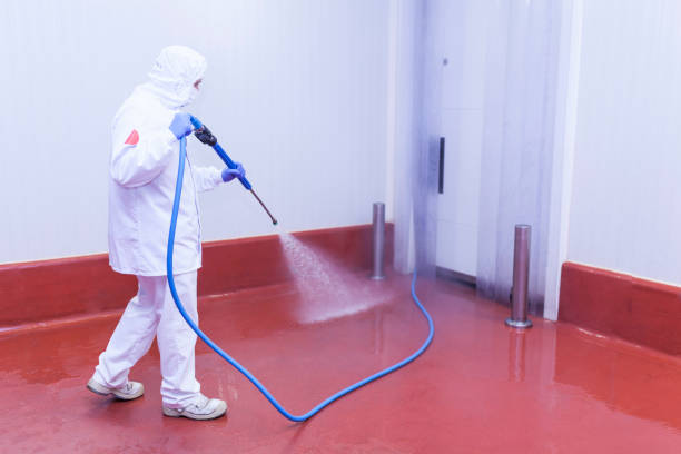 Pre-Holiday Cleaning in Ridgewood, NJ